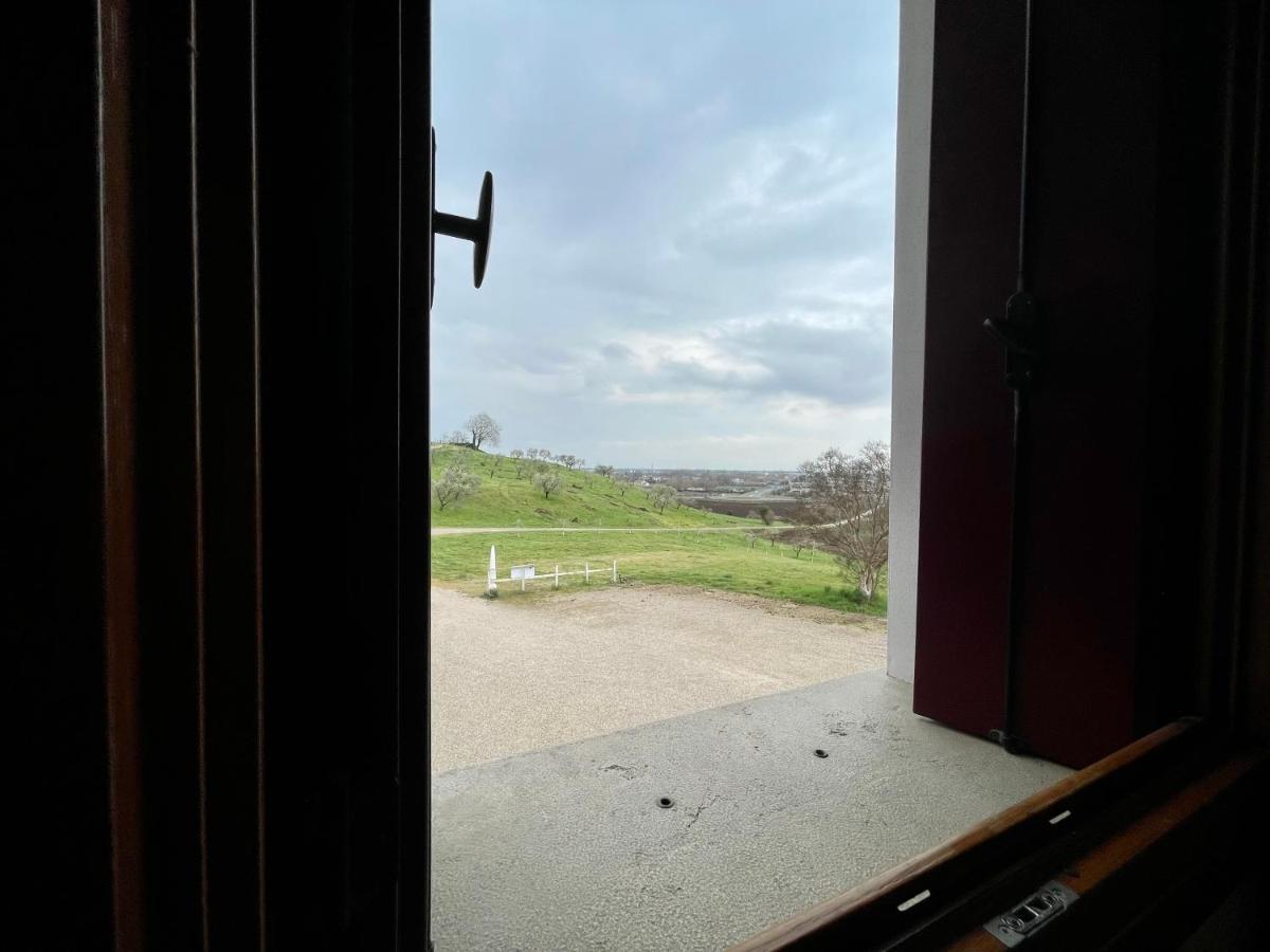 Agriturismo Vecio Portico ماروستيكا المظهر الخارجي الصورة